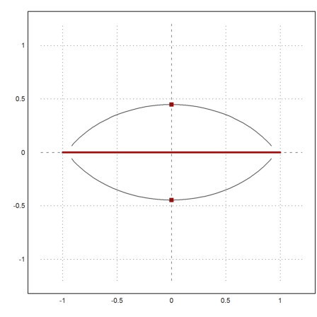 Runges Counterexample