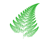 Fern